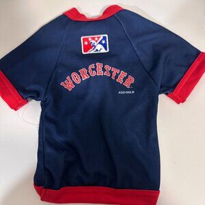 Worcester Red Sox Dog Jersey XXS Pet Baseball Shirt Cute